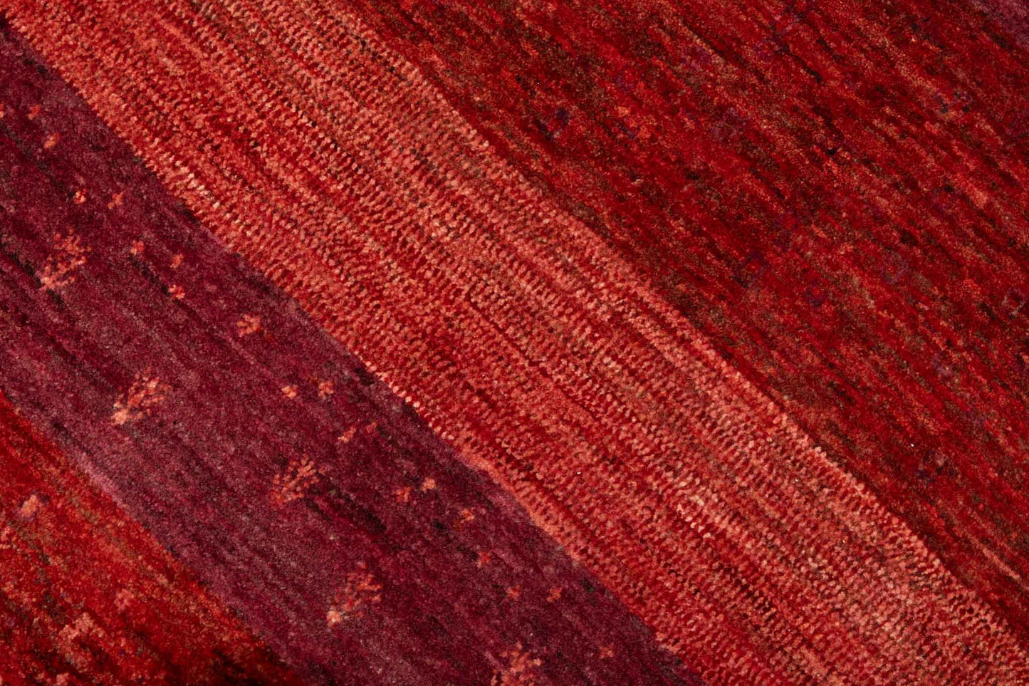239 × 093 Kaschkuli Mirzai