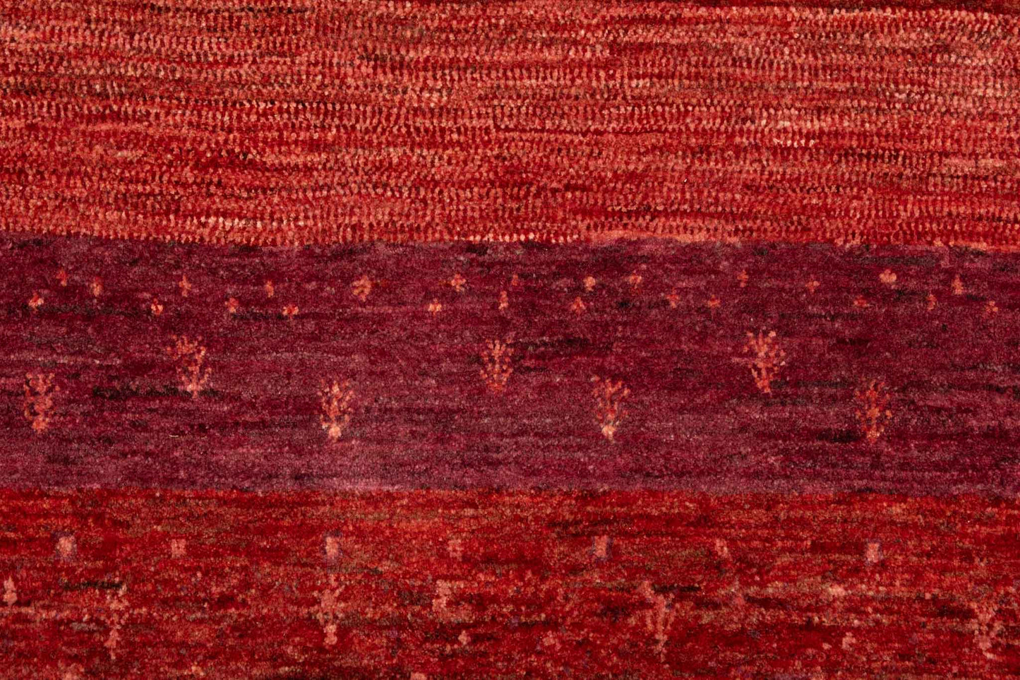 239 × 093 Kaschkuli Mirzai