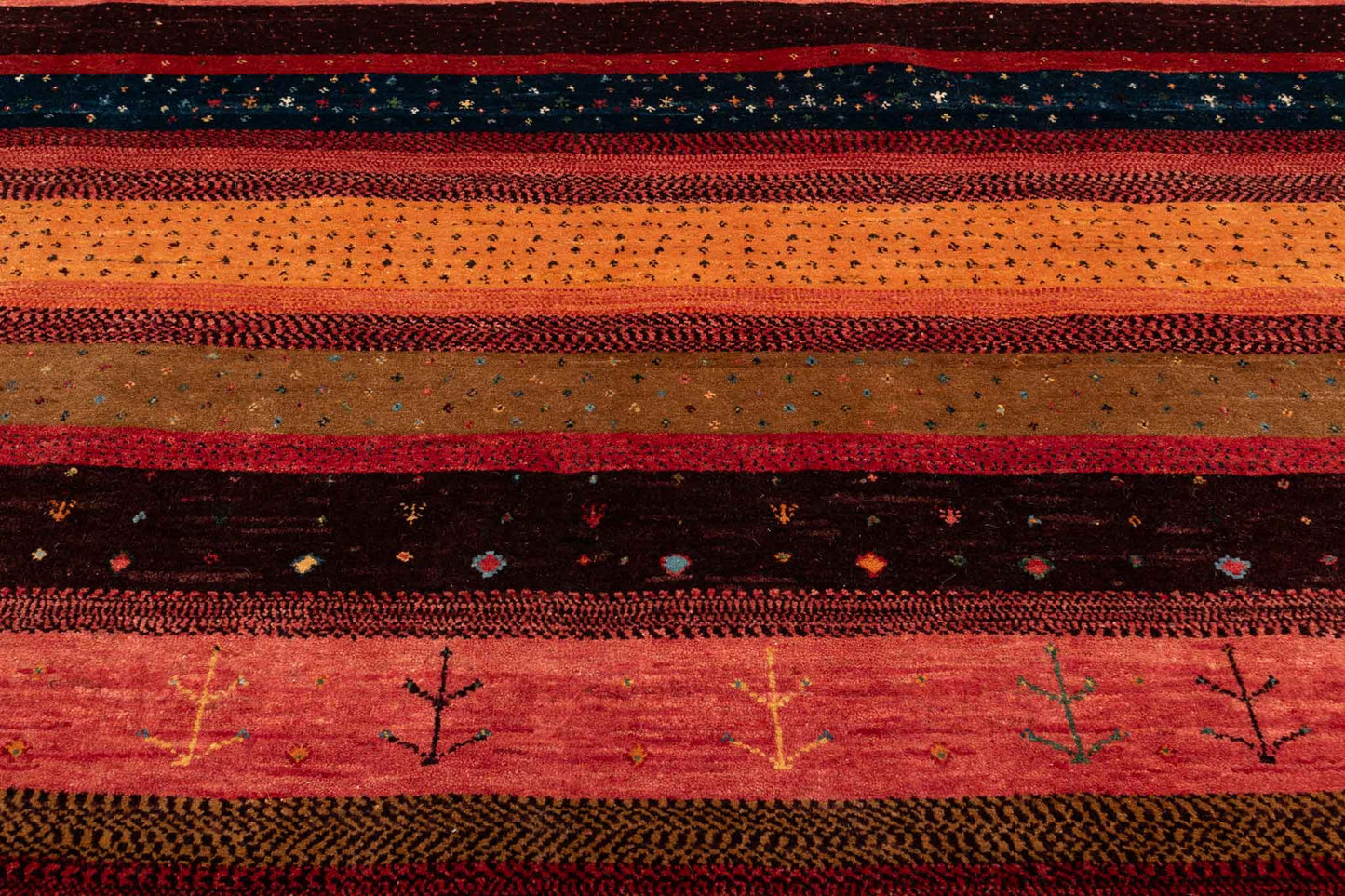 242 × 202 Kaschkuli Mirzai