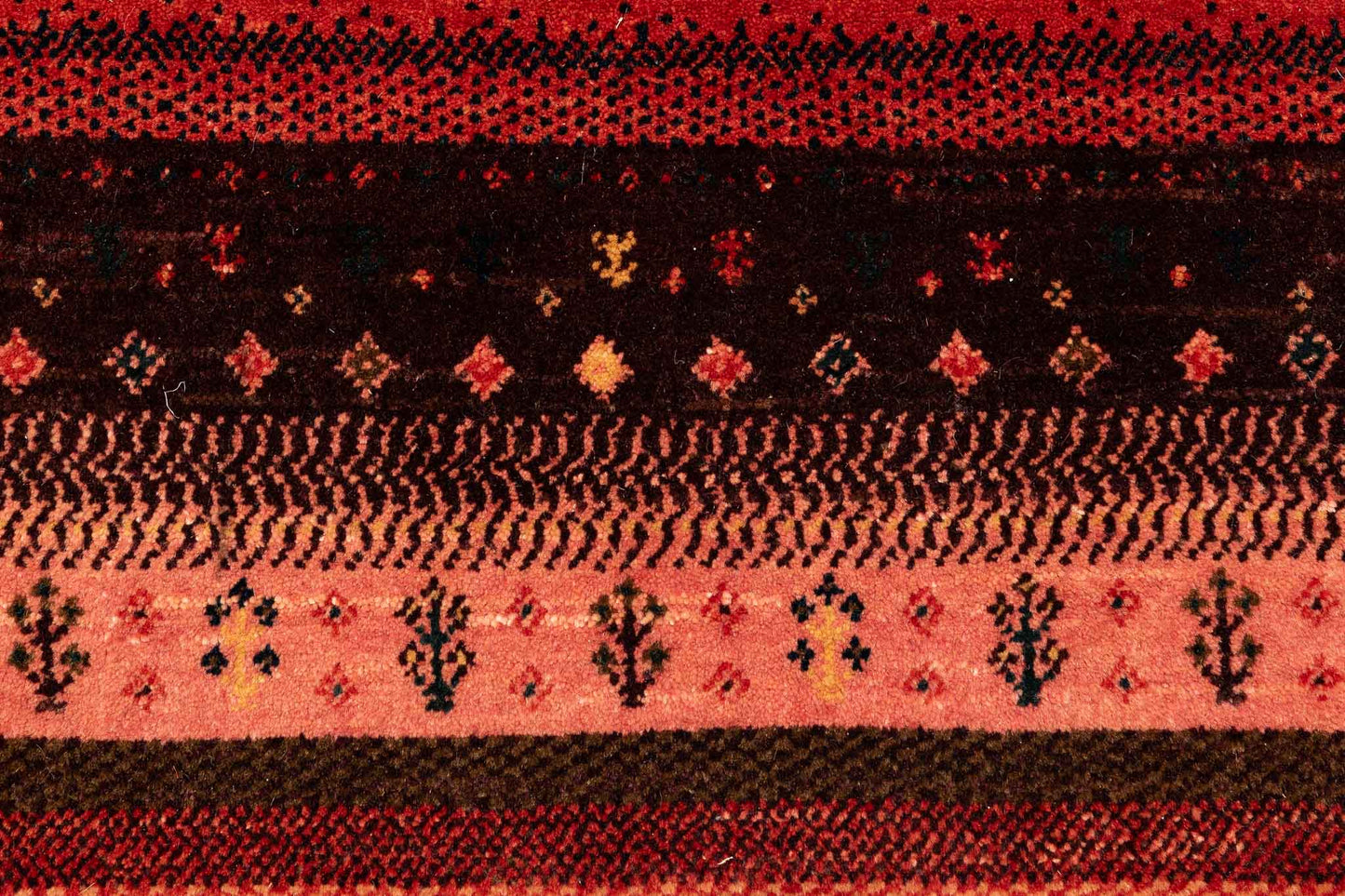 213 × 206 Kaschkuli Mirzai