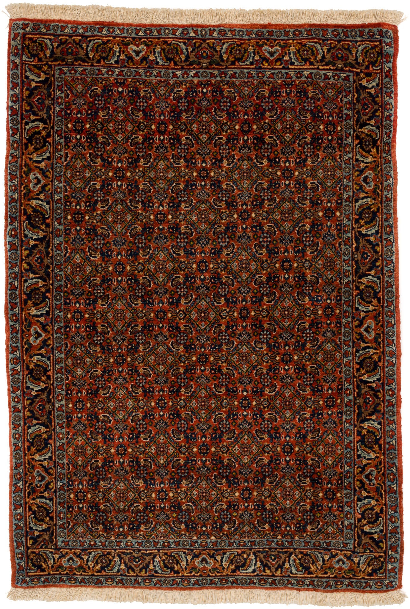 Bidjar Mirzai, 148 × 103 cm
