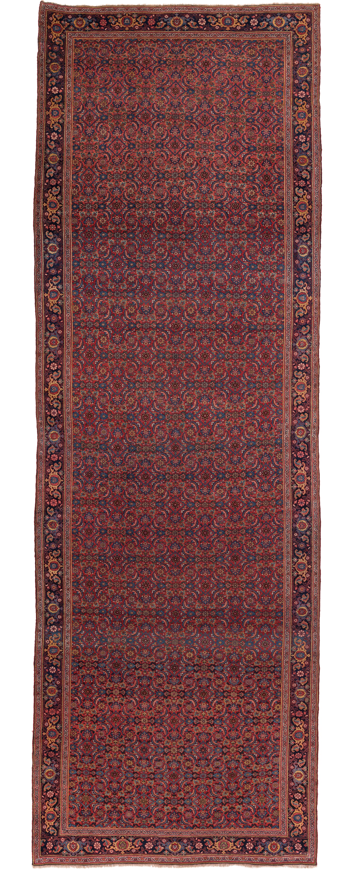 Bidjar, 600 × 215 cm