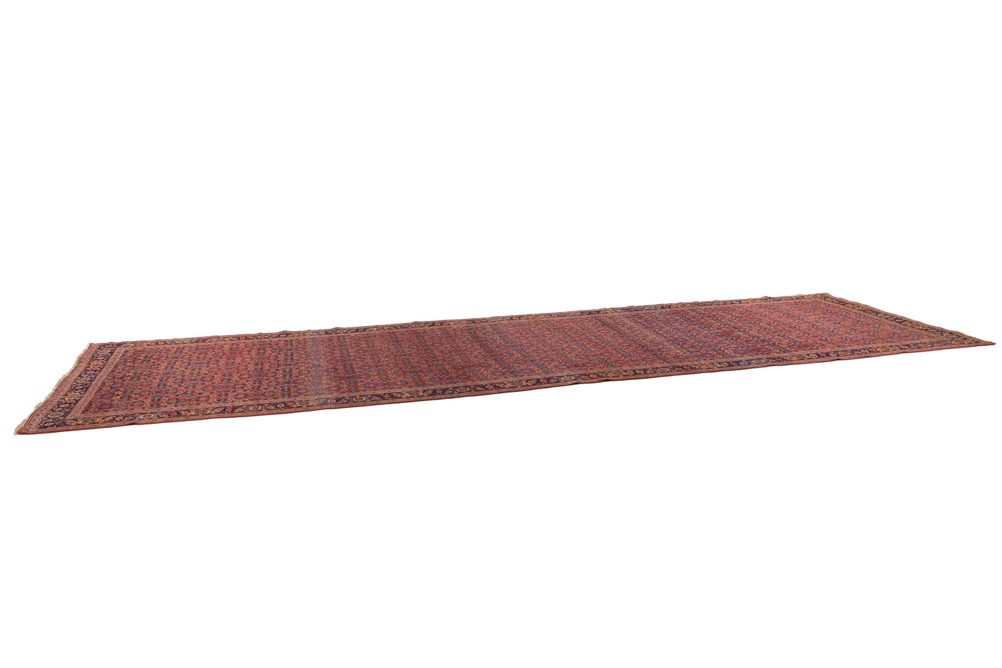 Bidjar, 600 × 215 cm