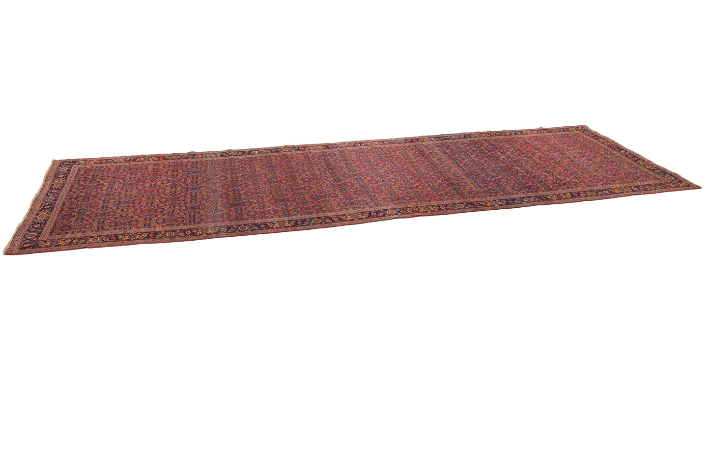 Bidjar, 600 × 215 cm