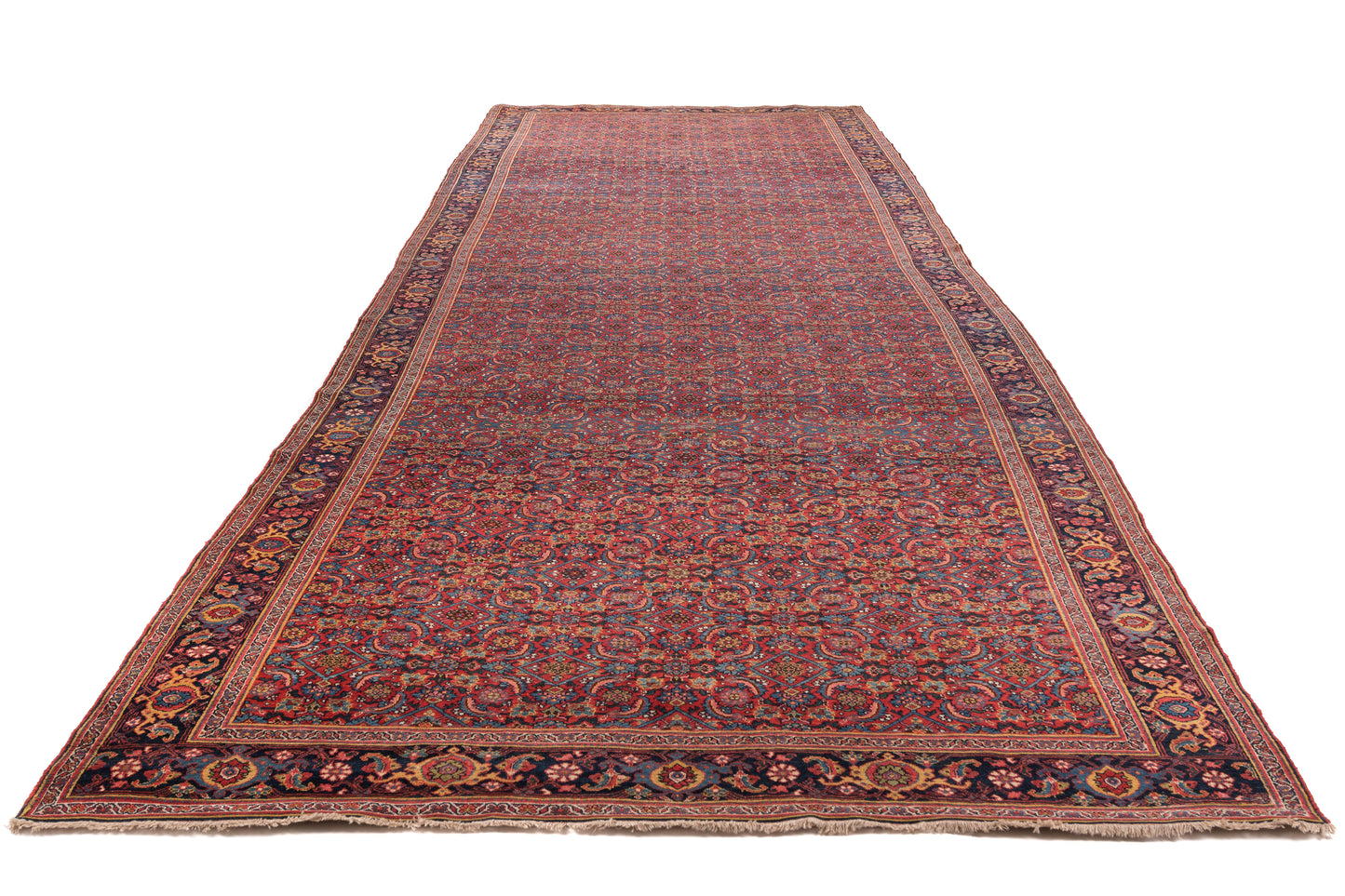 Bidjar, 600 × 215 cm