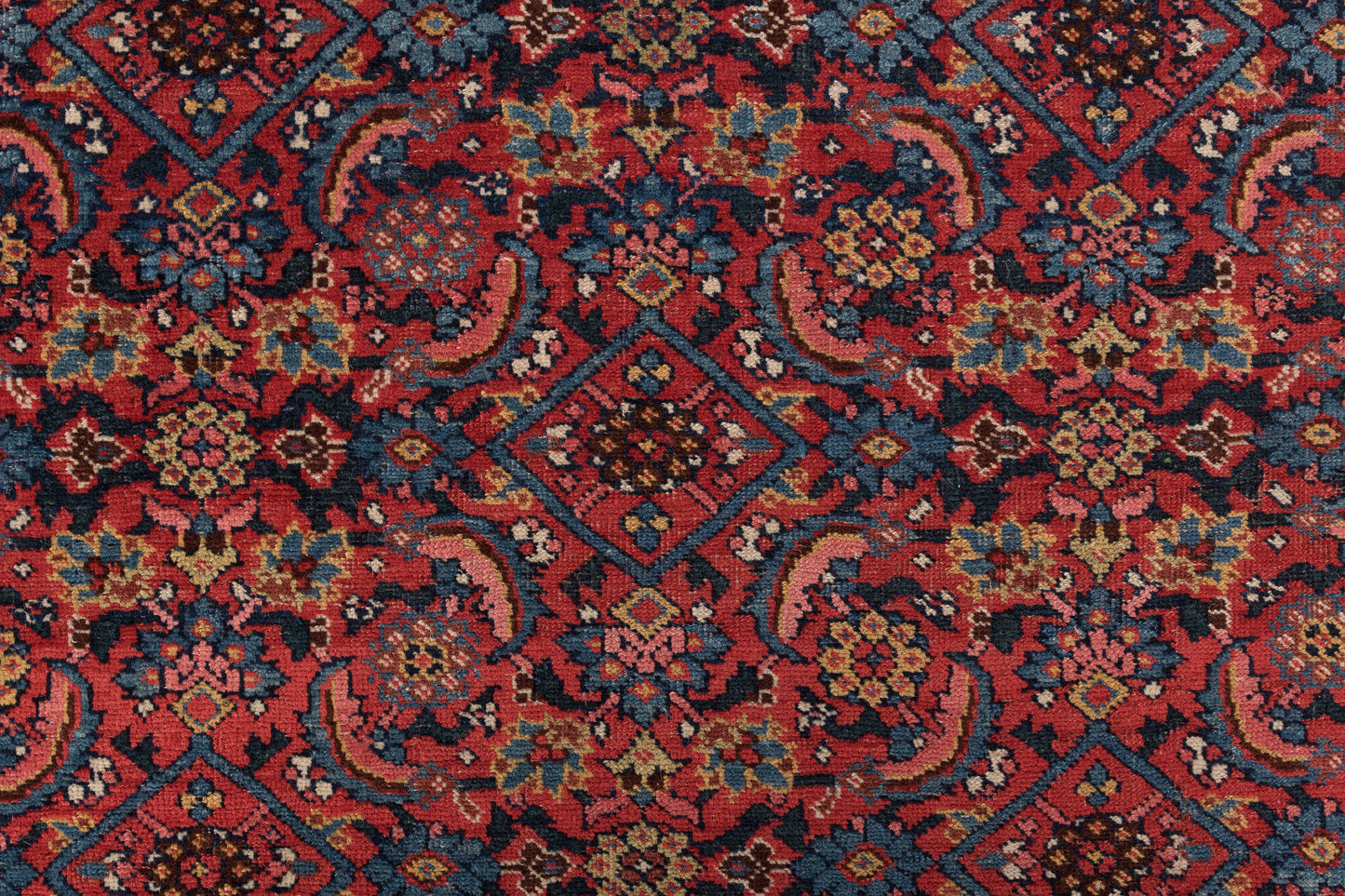 Bidjar, 600 × 215 cm