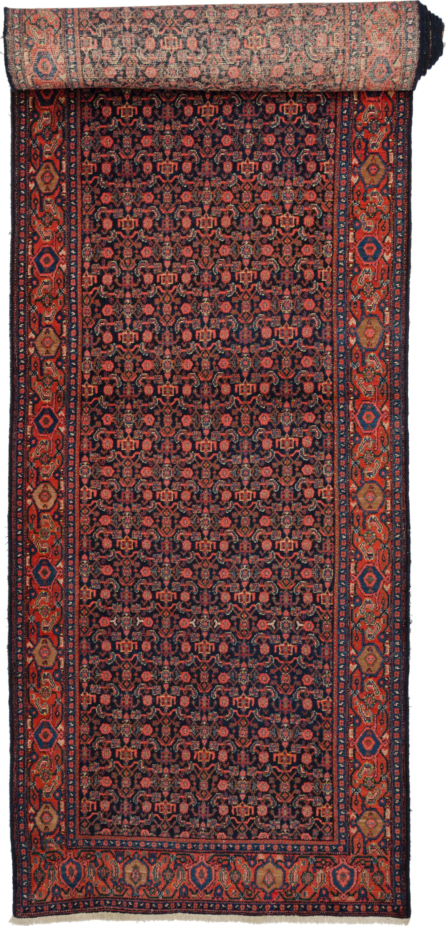 Senneh, 602 × 113 cm