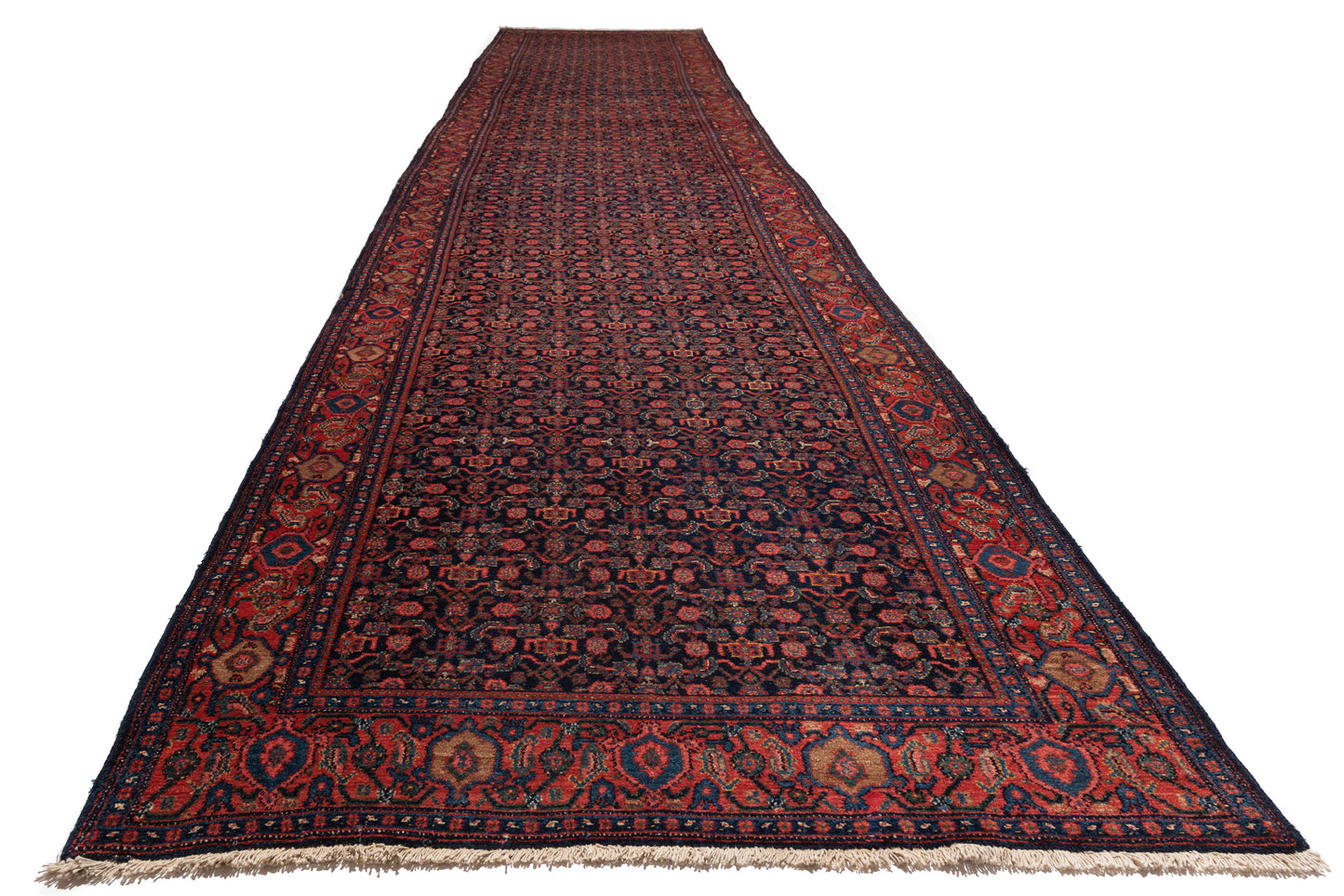 Senneh, 602 × 113 cm